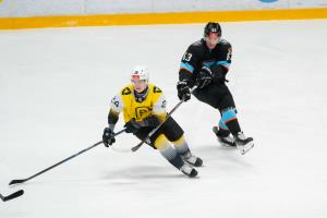Хоккеисты «Динамо-Шинника» потерпели поражение от «Алмаза» (1:3)